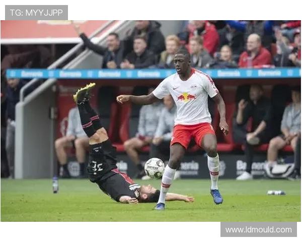 今夏合同到期球员身价排行科纳特居首